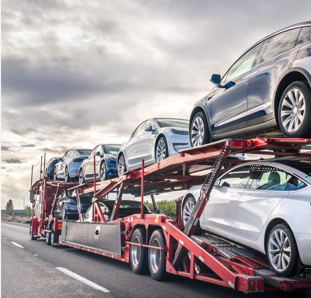 Exploring the Connection Between Auto Shipping and Auction Houses
